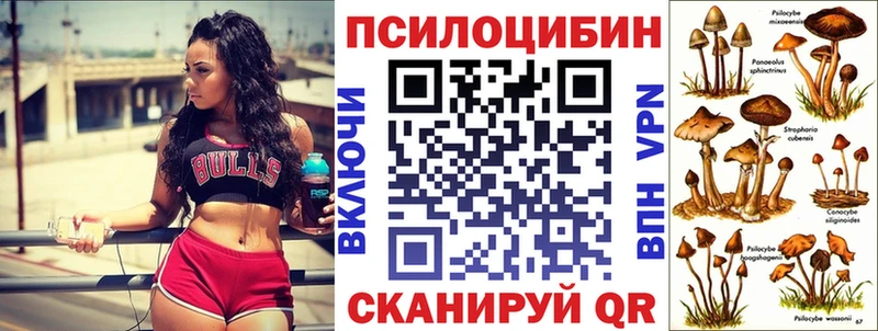 дарнет шоп  Петровск-Забайкальский  маркетплейс состав  Псилоцибиновые грибы прущие грибы 